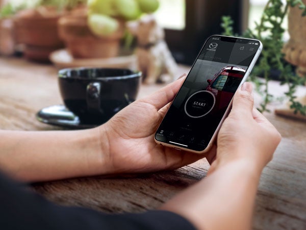 Marin Mazda in San Rafael CA